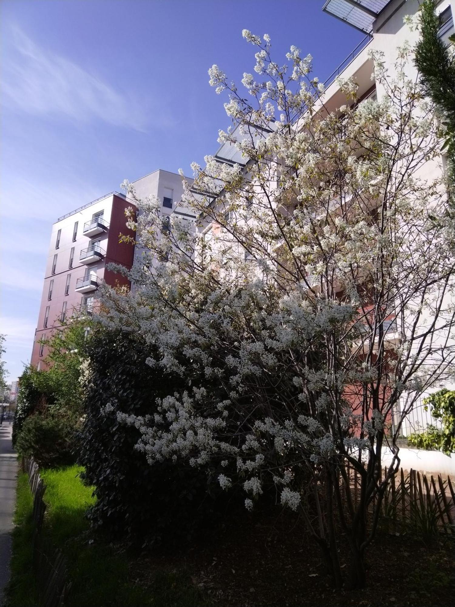 Apparthotel Privilodges Lyon Lumiere Exteriér fotografie